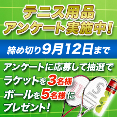 SRI�A���P�[�g