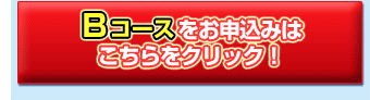 Bコースをお申込み