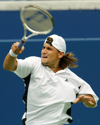 David Ferrer