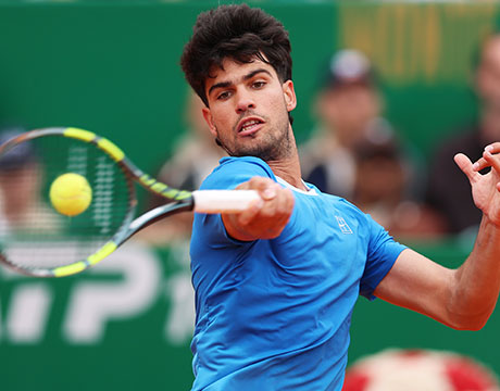 繧ｫ繝ｫ繝ｭ繧ｹ繝ｻ繧｢繝ｫ繧ｫ繝ｩ繧ｹ