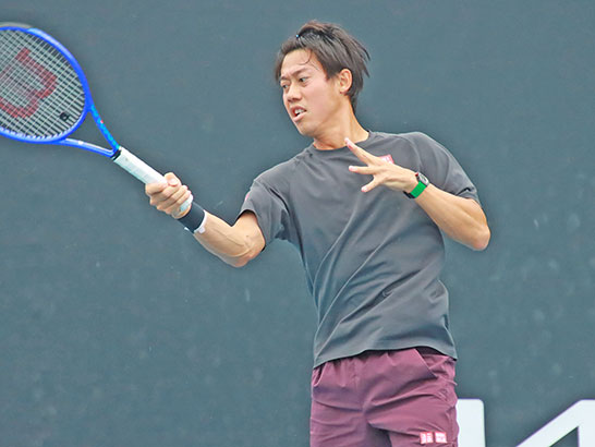 錦織圭（1月）