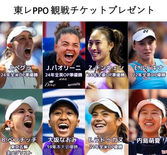 東レPPO
